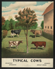 Typical Cows Image