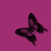 Pink Butterfly Black Glitter Image