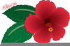 Hawaiin Clipart Border Image