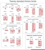 Amino Acid Properties Image