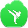 Karate Icon Image