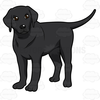 Black White Labrador Clipart Image