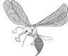 Mosquito Clip Art