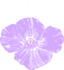 Purple Poppies Clip Art