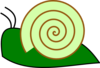 Chiocciola Verde Clip Art