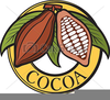 Cocoa Bean Clipart Image