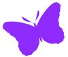 Butterfly Silhouette Image