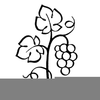 Free Leaf Clipart Black And White Image