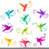 Free Clipart Images Hummingbirds Image