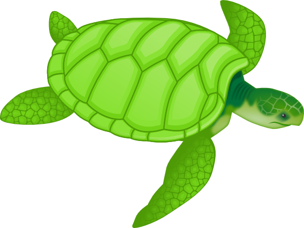 Download Green Sea Turtle Clip Art at Clker.com - vector clip art ...