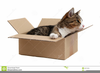 Litter Box Clipart Image