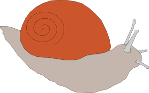 Snail 2 Clip Art
