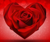 Red Rose In The Shape Of Heart Red Background By Vectorbackgrounds D U Hzp Image