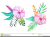 Clipart Flower Free Tropical Image