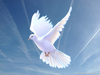 Candles Doves Clipart Image