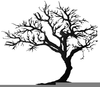 Free Oak Tree Clipart Image