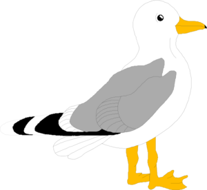 Seagull Clip Art