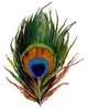 Images Image