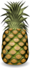 Pineapple  Clip Art