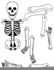 Skeletons Clipart Halloween Image