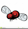 Bug Eyed Clipart Image