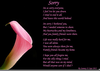 Im Sorry Poems Image