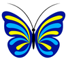 Blue And Yellow Butterfly Image