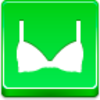 Bra Icon Image