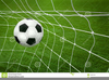 Soccer Ball And Net Clipart Image