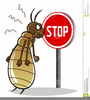 Cartoon Termite Clipart Image