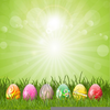 Free Easter Chicks Clipart Image