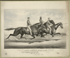Toronto Chief, General Butler, And Dexter: In Their Great Race Under Saddles, Over The Fashion Course, L.i. July 19th, 1866 Image