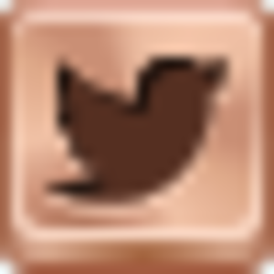 Twitter Bird Icon Image