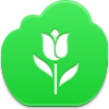 Tulip Icon Image