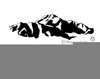 Mt Rainier Clipart Free Image