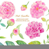 Clipart Flowers Pink Image