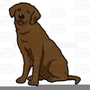 Chocolate Lab Clipart Image