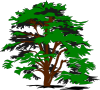 Simple Tree Clip Art