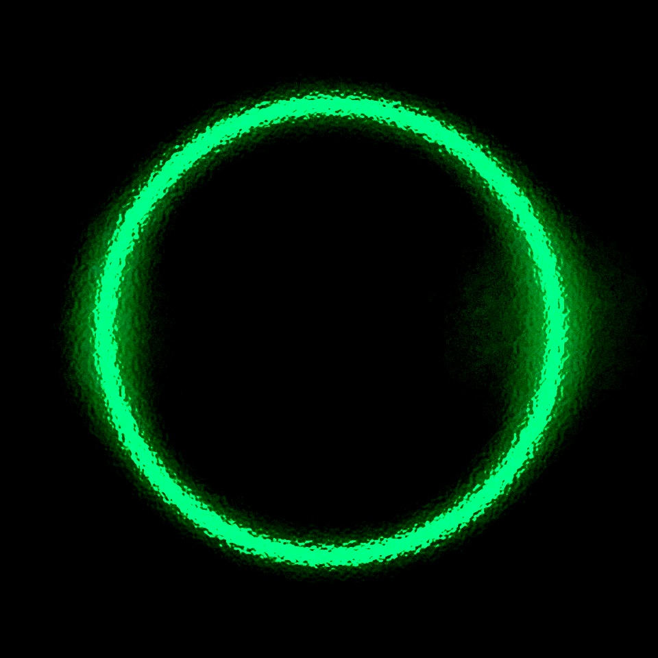 Dark Green Circle