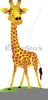 Clipart Giraffe Cartoon Image