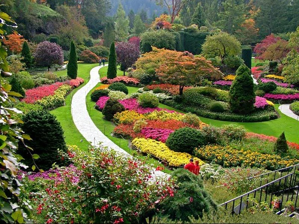 Botanicka Zahrada V Balciku | Free Images at Clker.com - vector clip ...