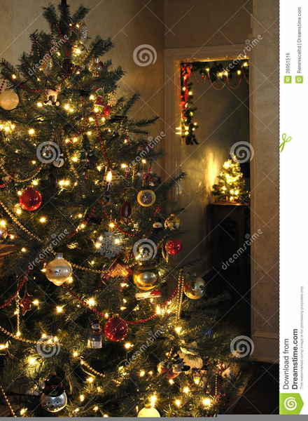Clipart Tree Plan View | Free Images at Clker.com - vector clip art ...