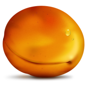 Apricot Image