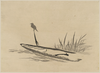 Bird And Boat Among Reeds. Image