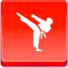 Karate Icon Image