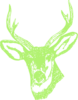 Deer  Clip Art