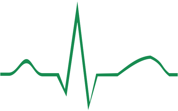 Ekg Clip Art at Clker.com - vector clip art online, royalty free ...