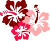 Hibiscus Pink Clip Art