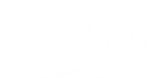 White Lotus Clip Art