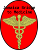 Jamaica Bridge To Medicine Clip Art
